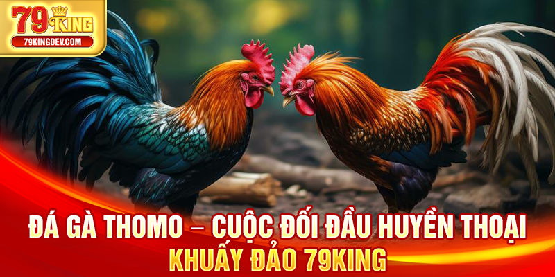 Đá Gà Thomo